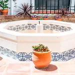 Διαμέρισμα Patio De La Juderia Deluxe *